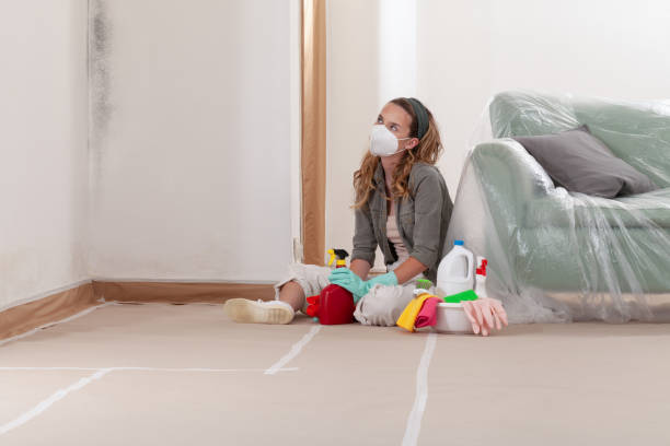 Reliable Mold Testing contractor in Maple City, MI by WQB Mold Removal